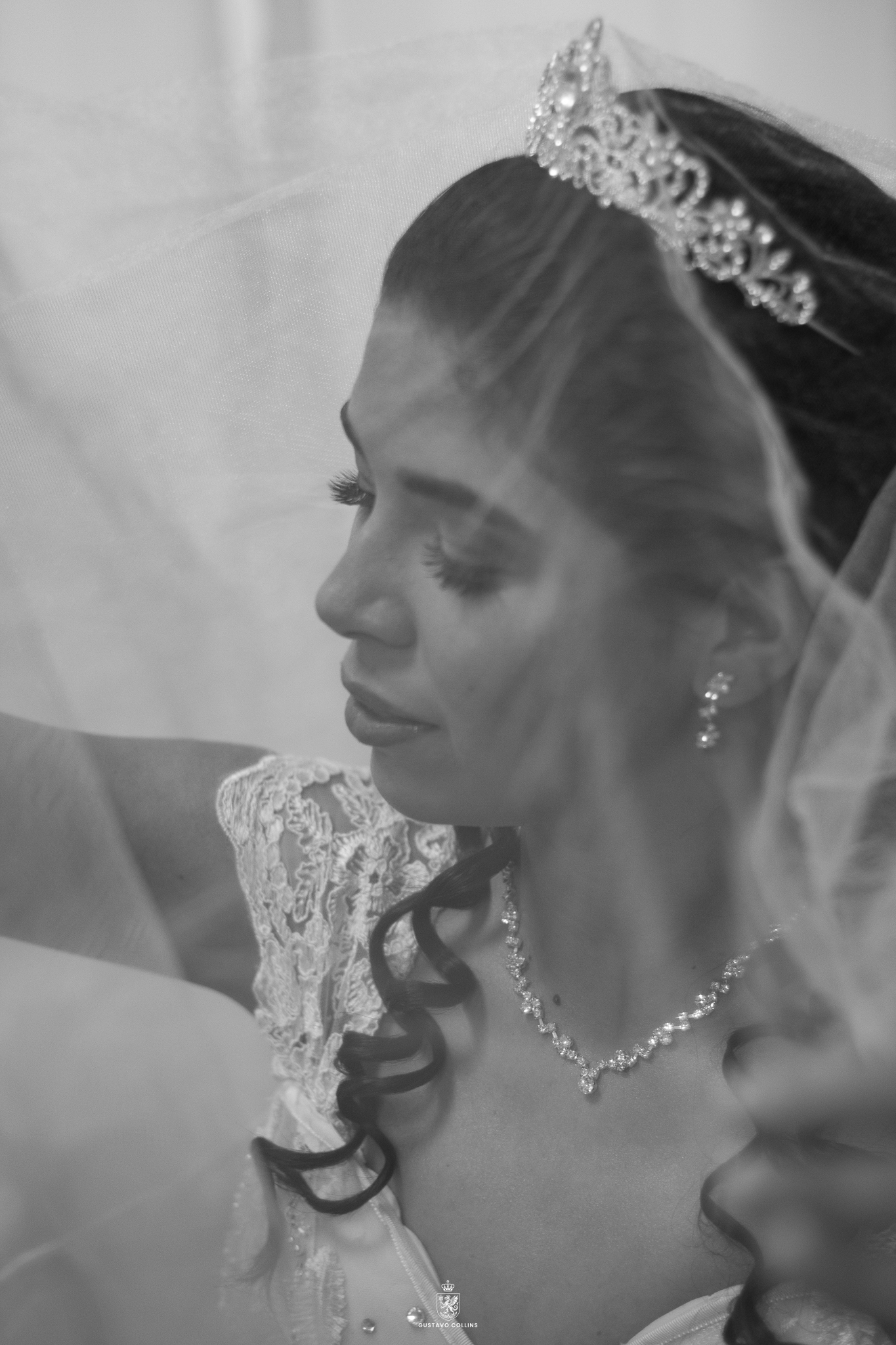Formatura